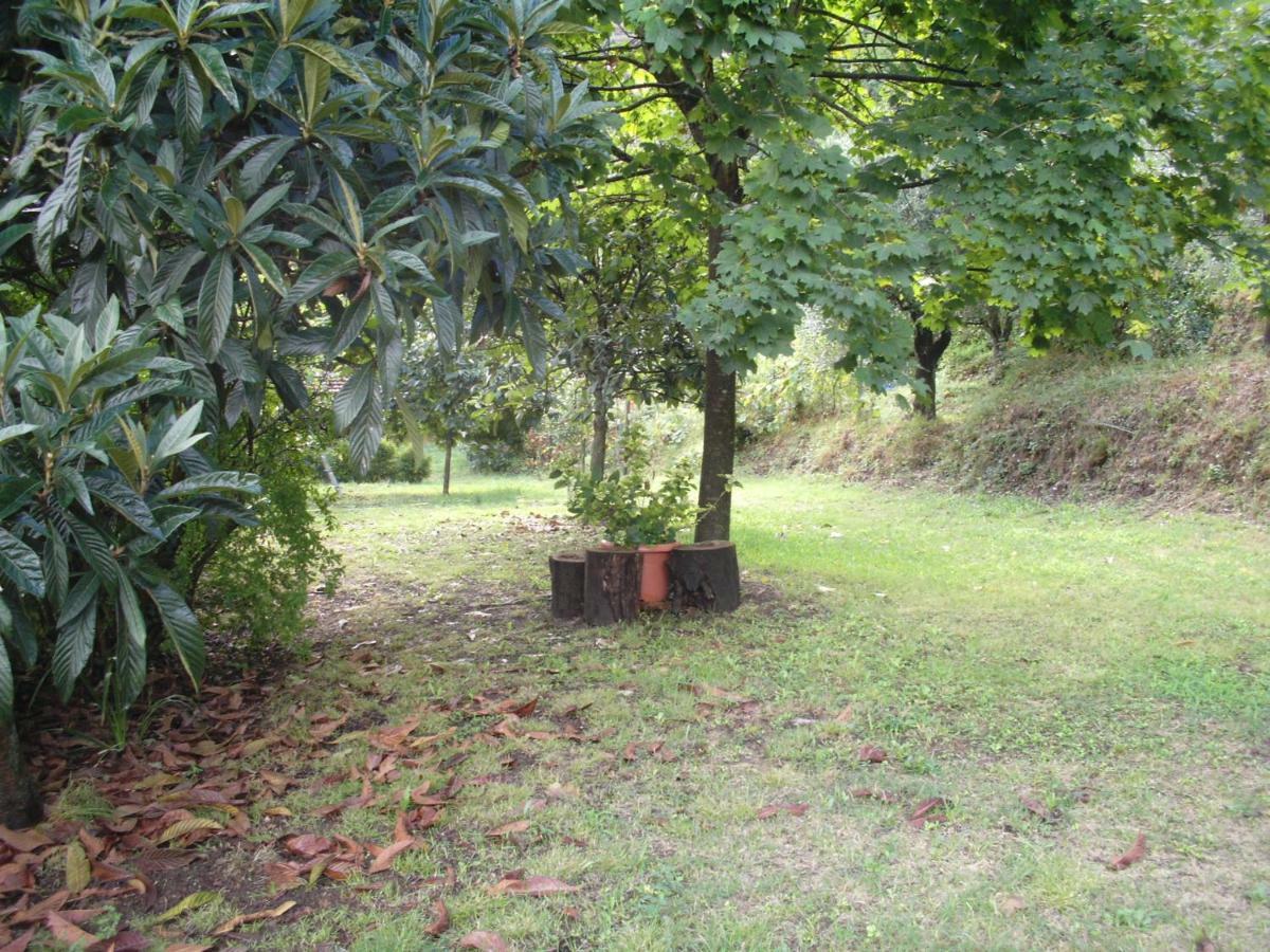 Il Fienile Villa Ripafratta Buitenkant foto