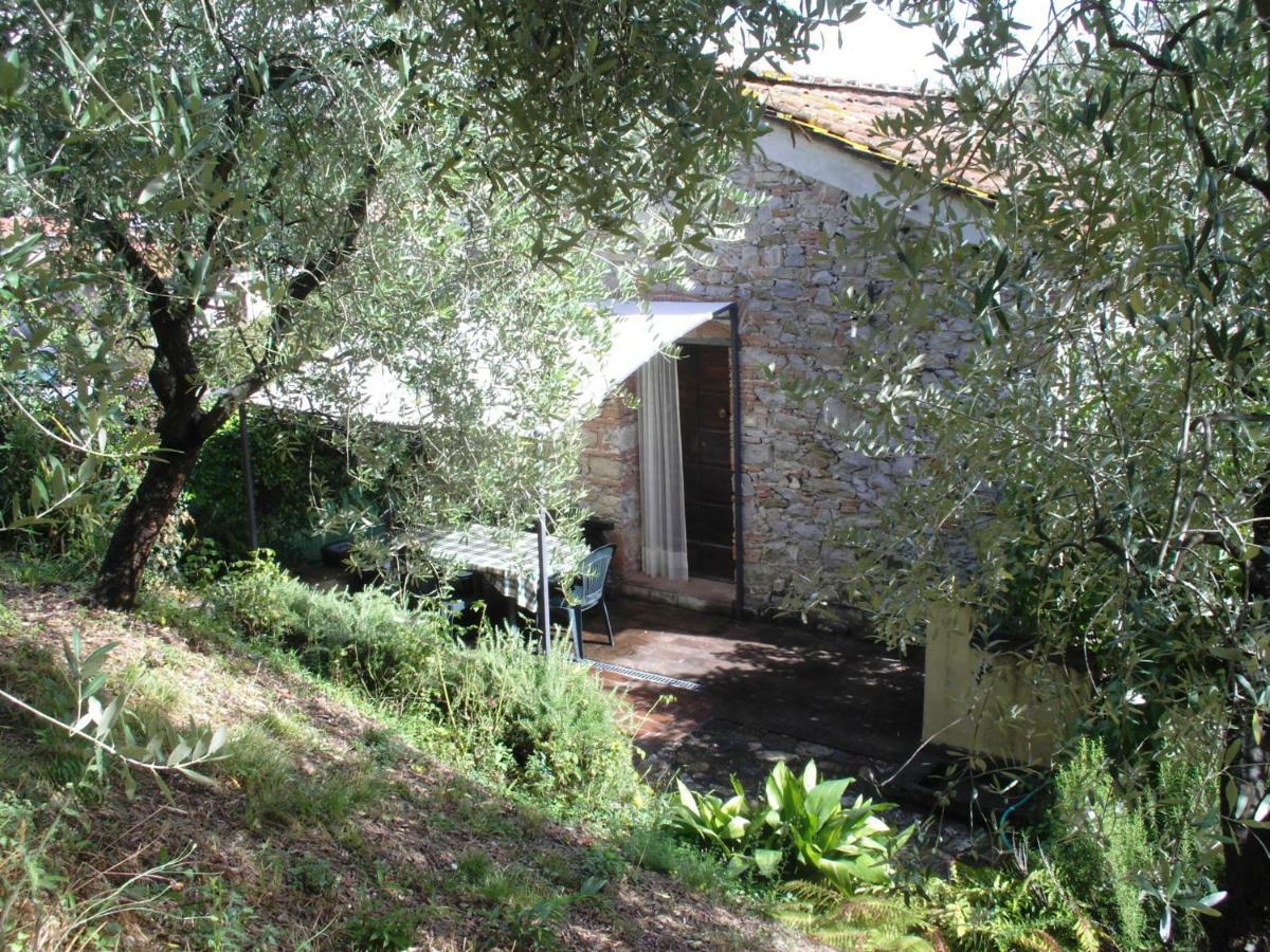 Il Fienile Villa Ripafratta Buitenkant foto
